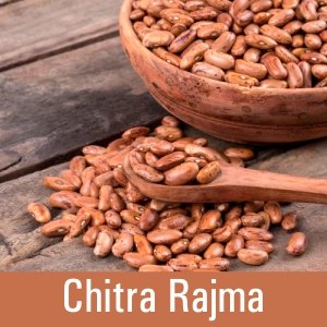 Speckled kidney beans/ Chitra Rajma